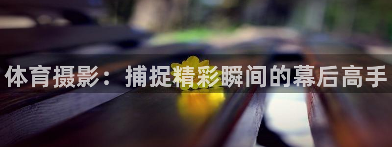蓝鲸新闻