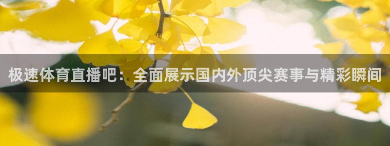 蓝鲸体育网球直播在线观看