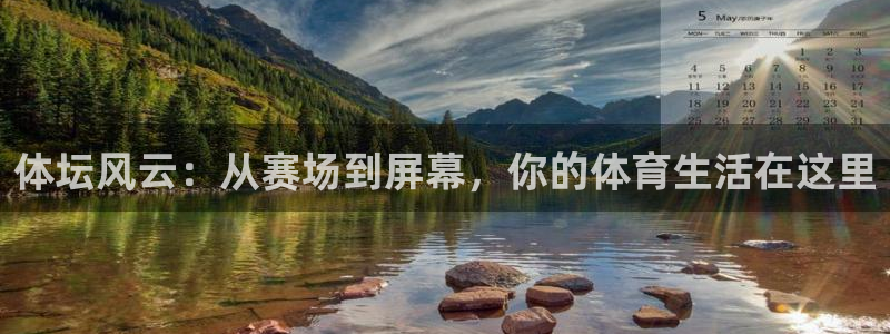 蓝鲸的视频