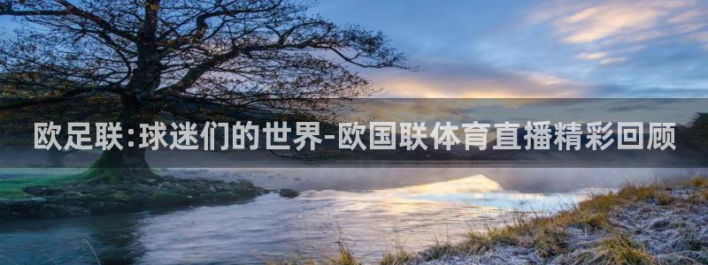 蓝鲸男男直播：欧足联:球迷们的世界-欧国联体育直播精彩回顾