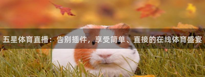 蓝鲸直播 app：五星体育直播：告别插件，享受简单、直接的在线体育盛宴