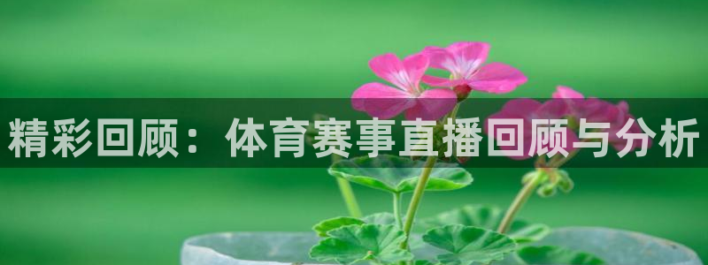 蓝鲸直播足球
